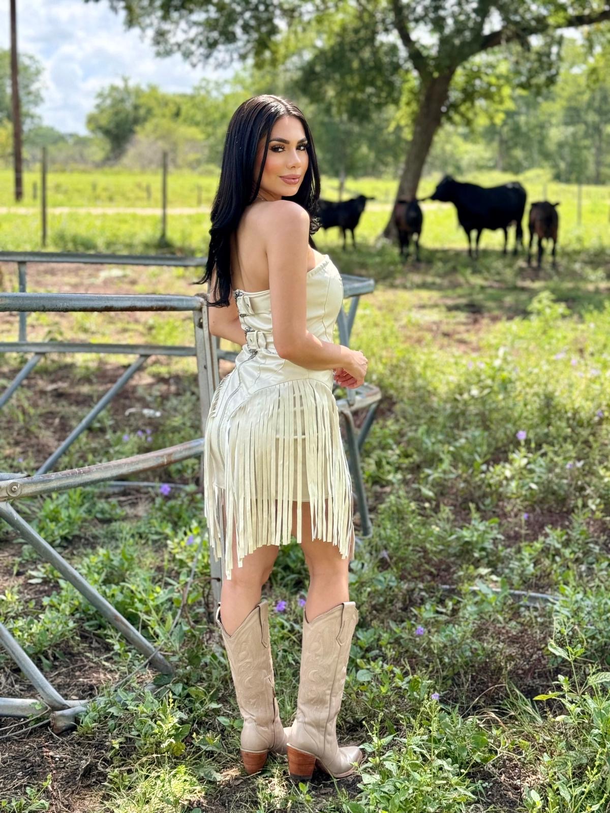 Amelia Western dress